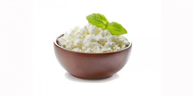 Cottage cheese in a plate