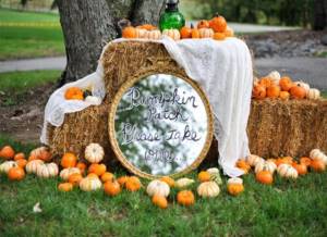 Pumpkin in November wedding decor