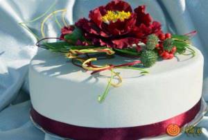 Chose a wedding cake